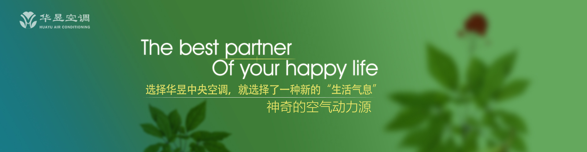 饱谙世故网